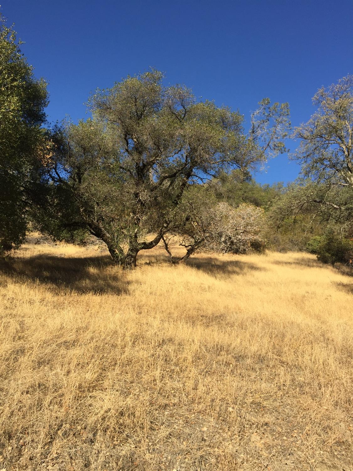 0 Ranch Camp Road Somerset, CA 95684 - Photo 3 of 11 a view of ocean view