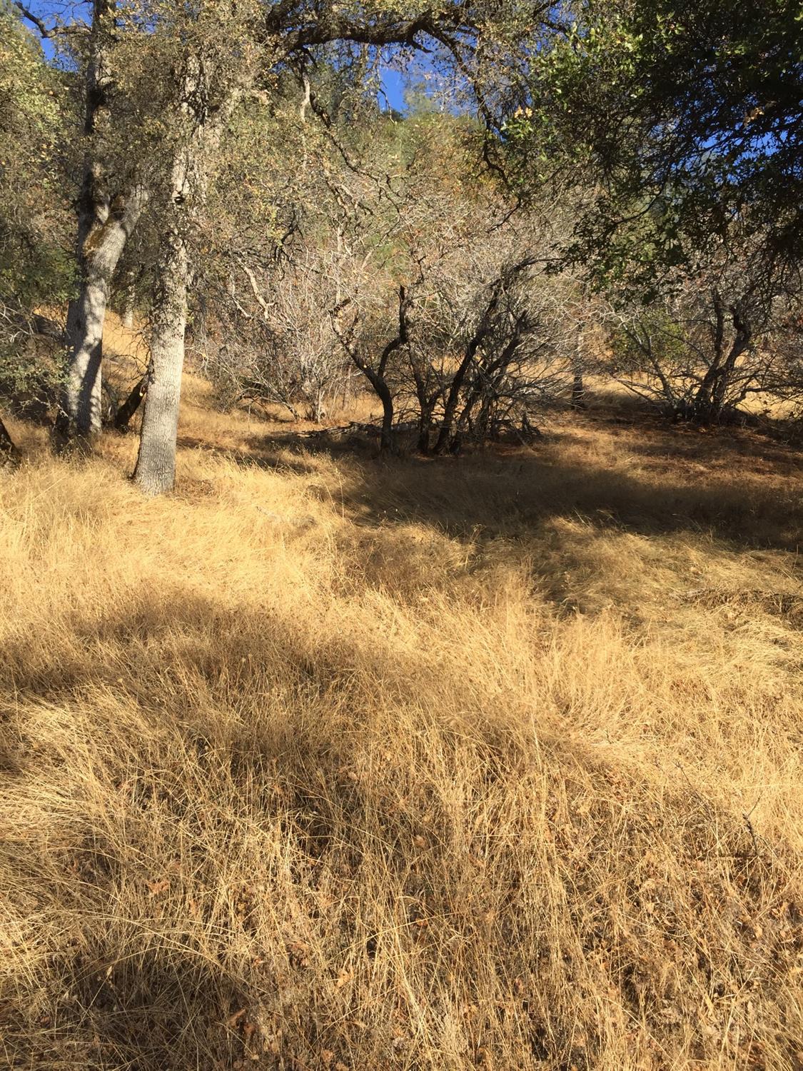 0 Ranch Camp Road Somerset, CA 95684 - Photo 10 of 11 a view of lake view