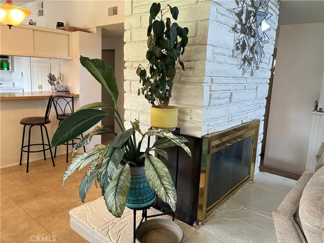 a kitchen with a stove and a potted plant
