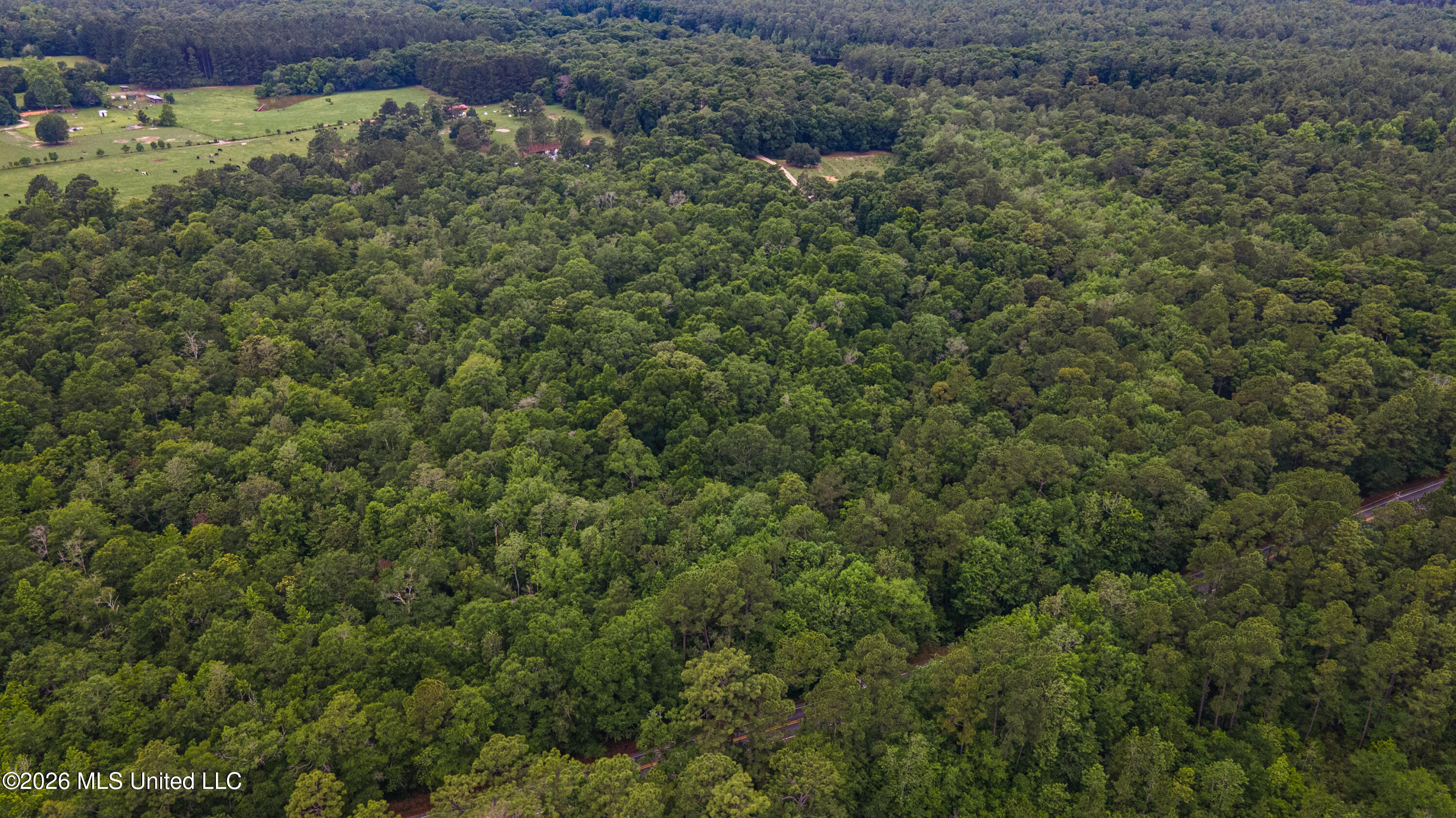 State Line Road Moss Point, MS 39562 - Photo 11 of 14 7-print-DJI_0052
