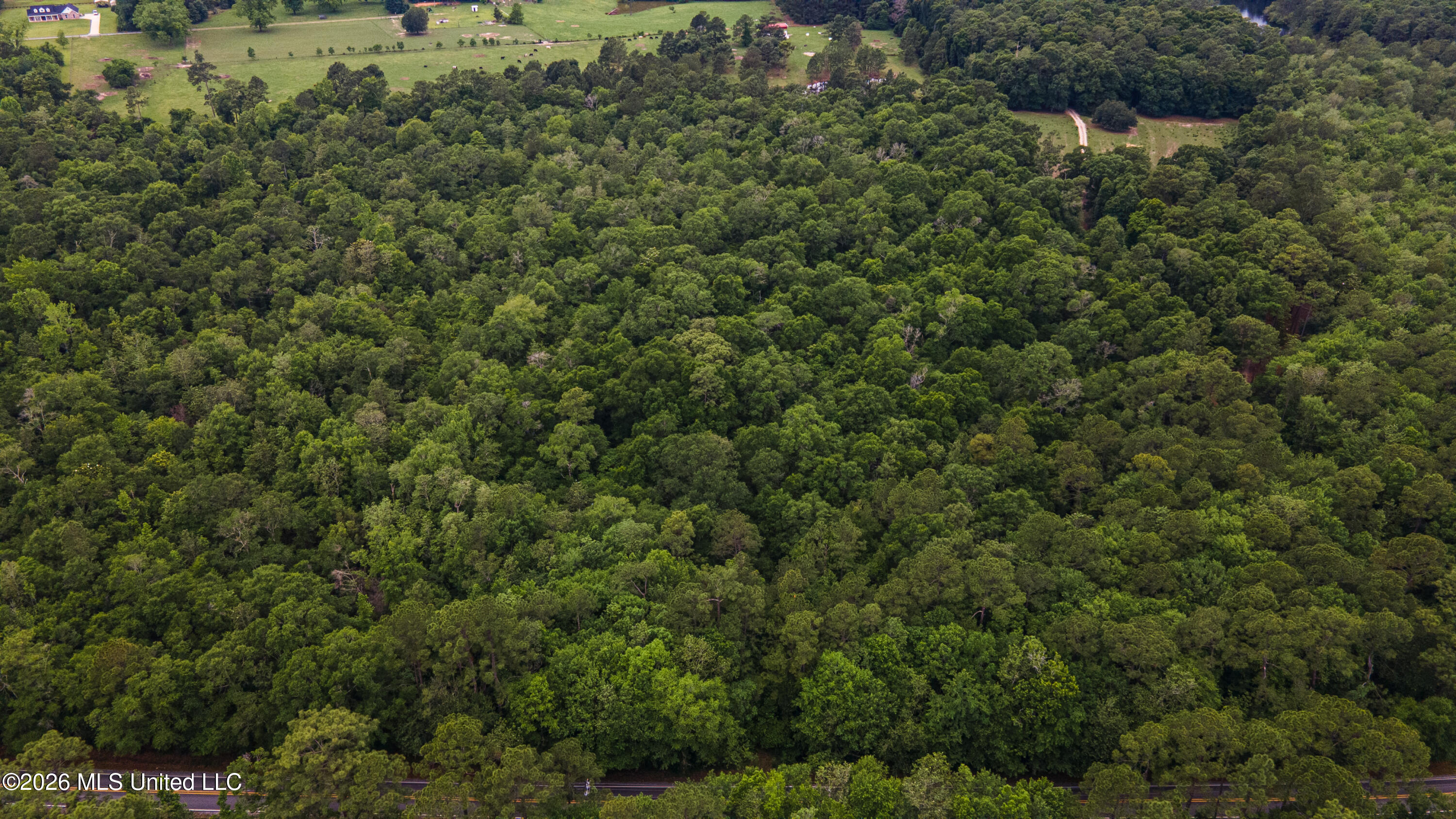 State Line Road Moss Point, MS 39562 - Photo 12 of 14 8-print-DJI_0051