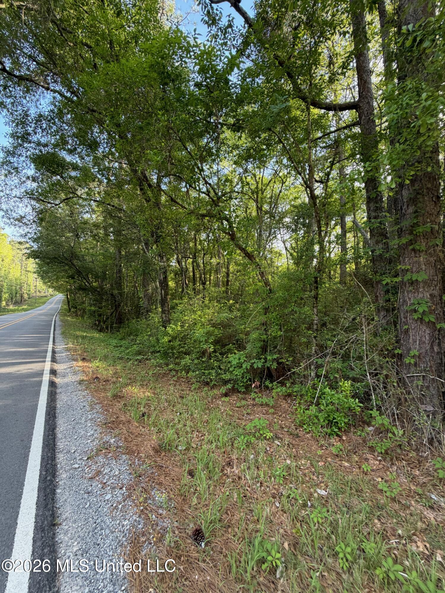 State Line Road Moss Point, MS 39562 - Photo 2 of 6 IMG_0852