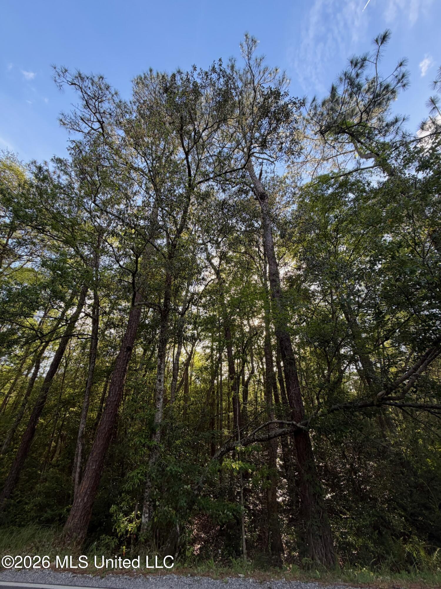 State Line Road Moss Point, MS 39562 - Photo 3 of 6 IMG_0854