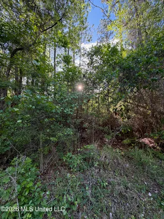 $185,000 | State Line Road, Moss Point, MS 39562