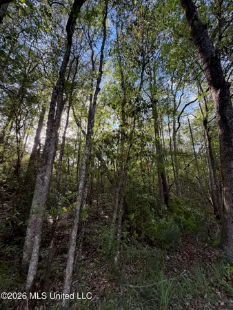 $185,000 | State Line Road, Moss Point, MS 39562