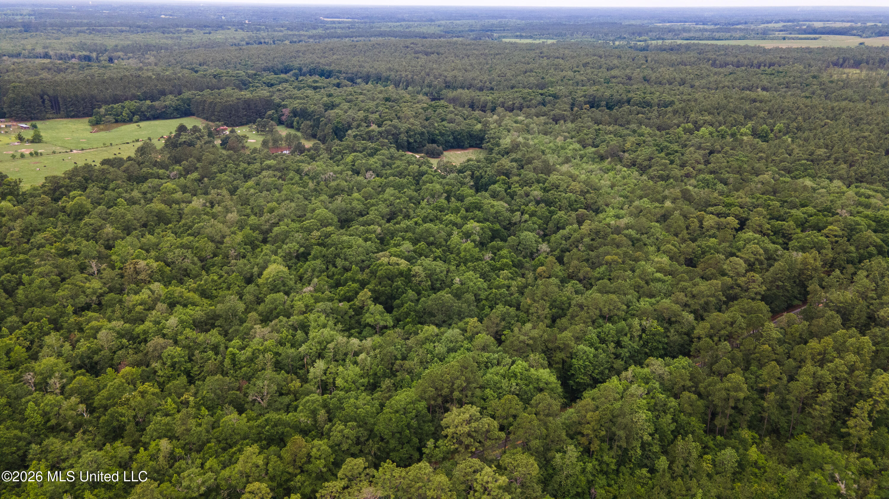 State Line Road Moss Point, MS 39562 - Photo 8 of 14 2-print-DJI_0055