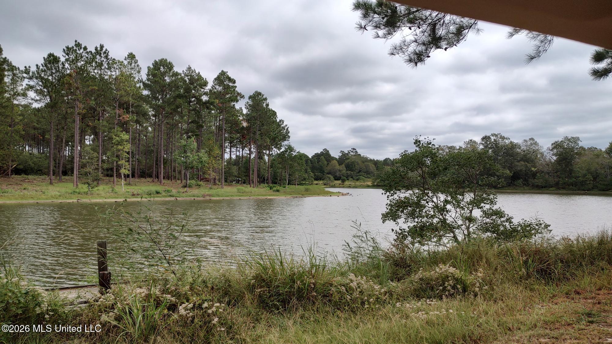 0 Ms-13 Lumberton, MS 39455 - Photo 5 of 6 shared lake view 2