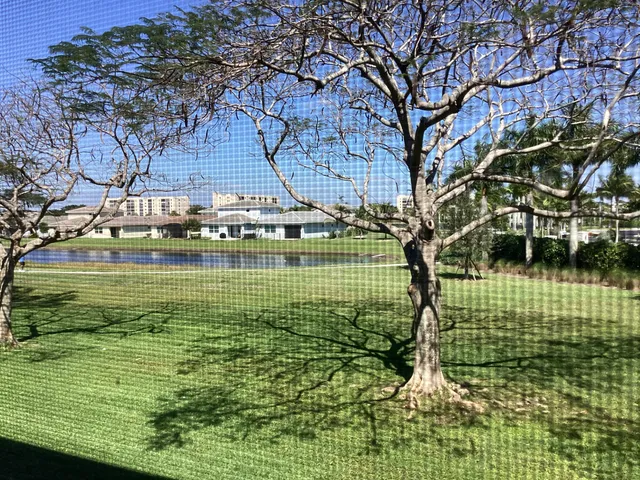 a view of a house with a backyard and porch