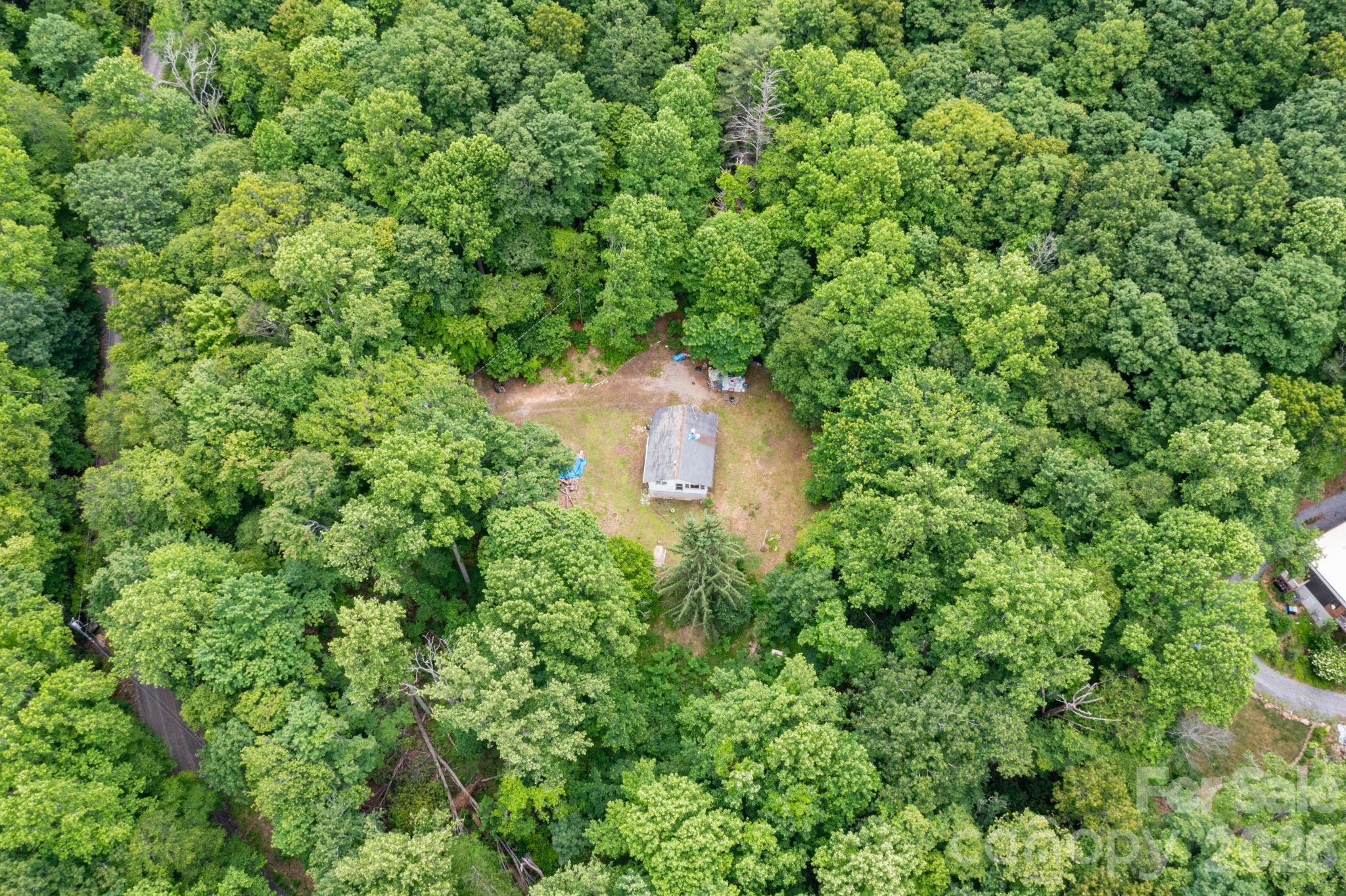 191 Walkertown Road Black Mountain, NC 28711 - Photo 2 of 9