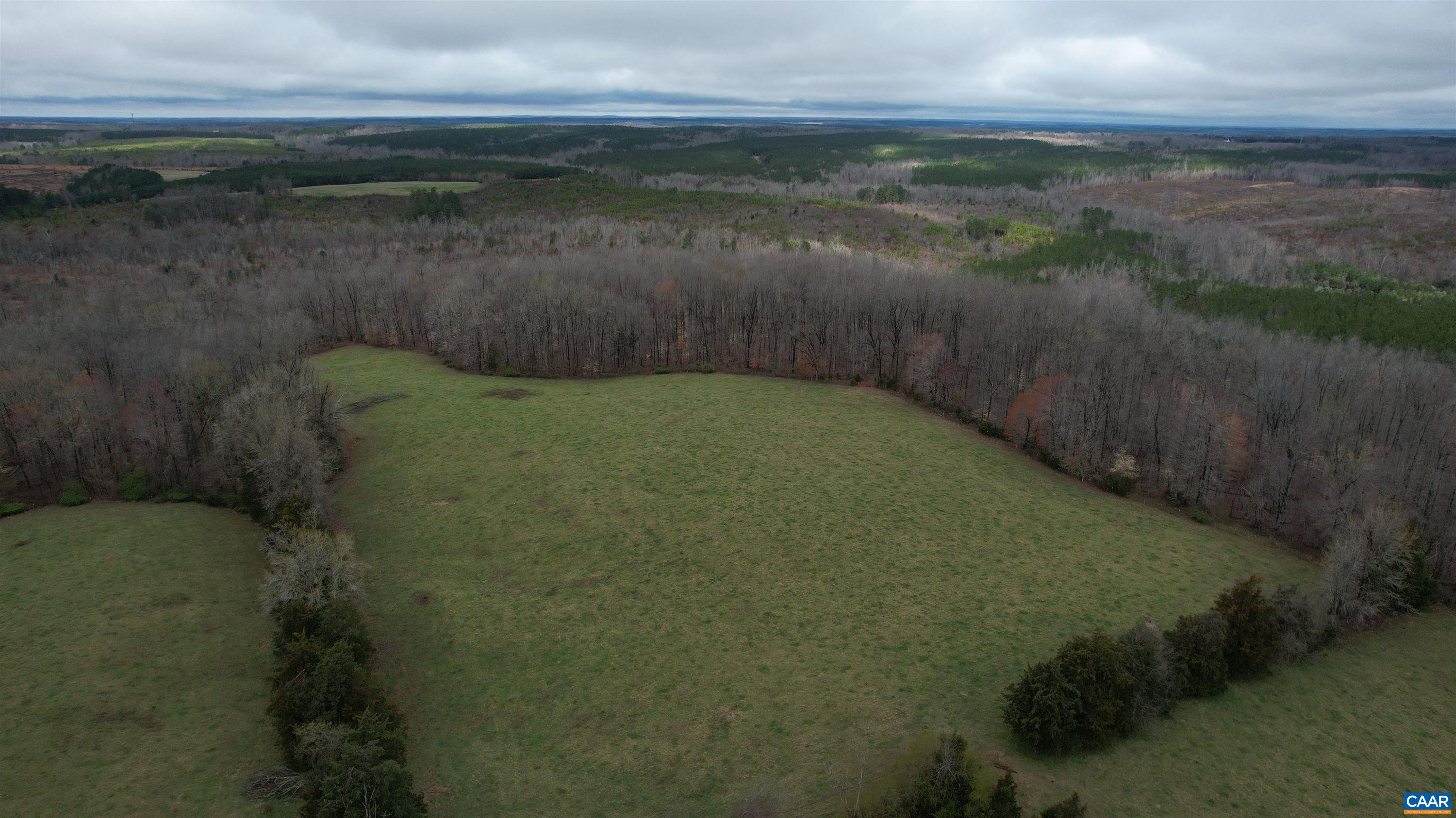 716 Dempseys Road Meherrin, VA 23954 - Photo 4 of 47 Gallery Image 4