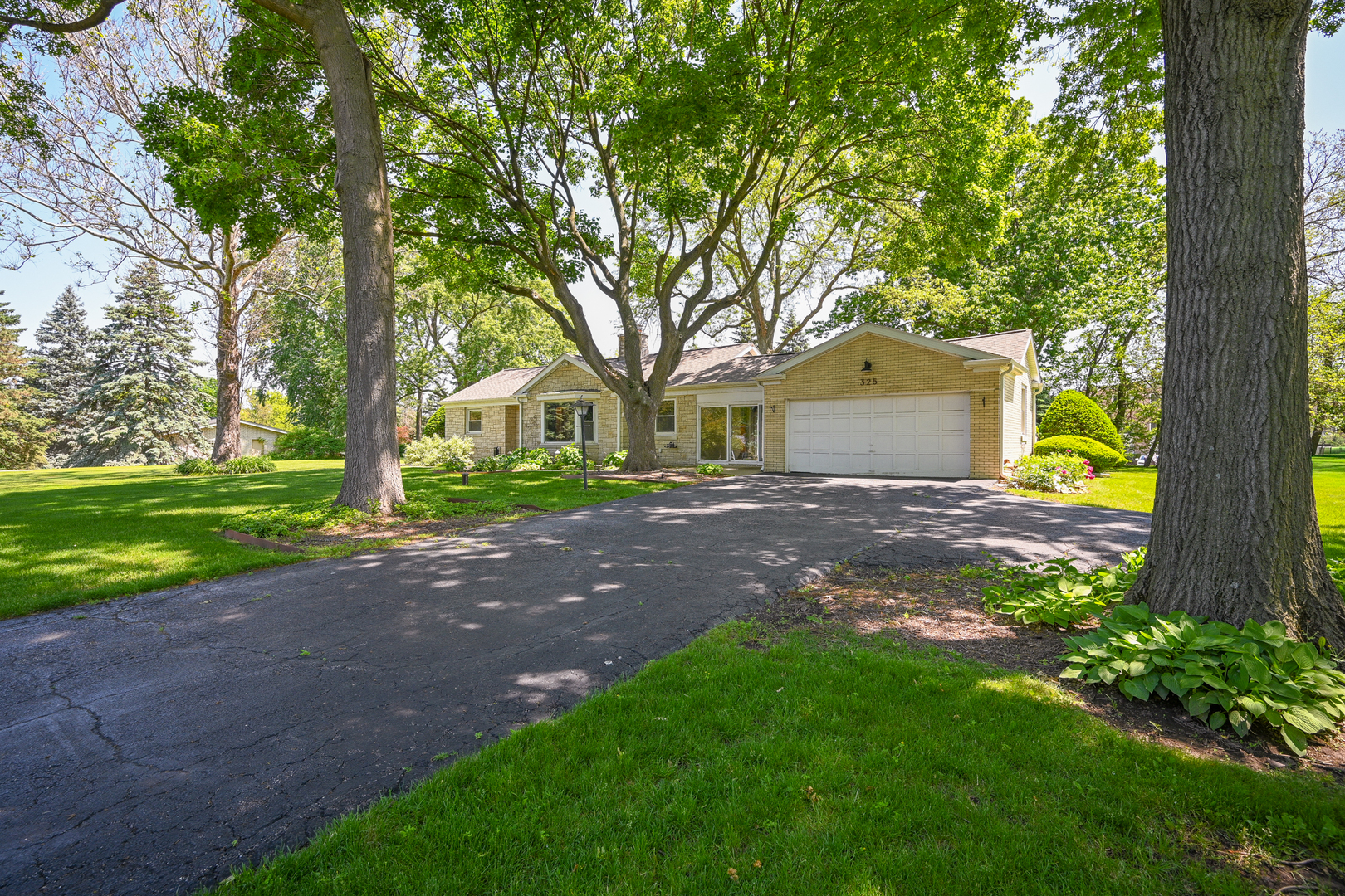 325 South Lambert Road Glen Ellyn, IL 60137 - Photo 3 of 32 a view of a yard with plants and large trees