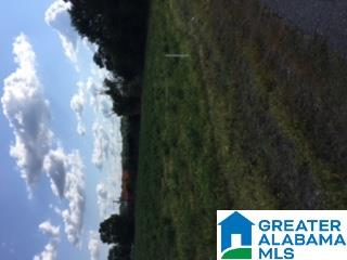 Baker Drive, Unit ## Altoona, AL 35952 - Photo 2 of 2