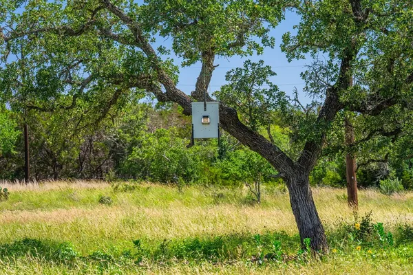 $1,133,391 | 377 Green Oak Drive, Kerrville, TX 78028