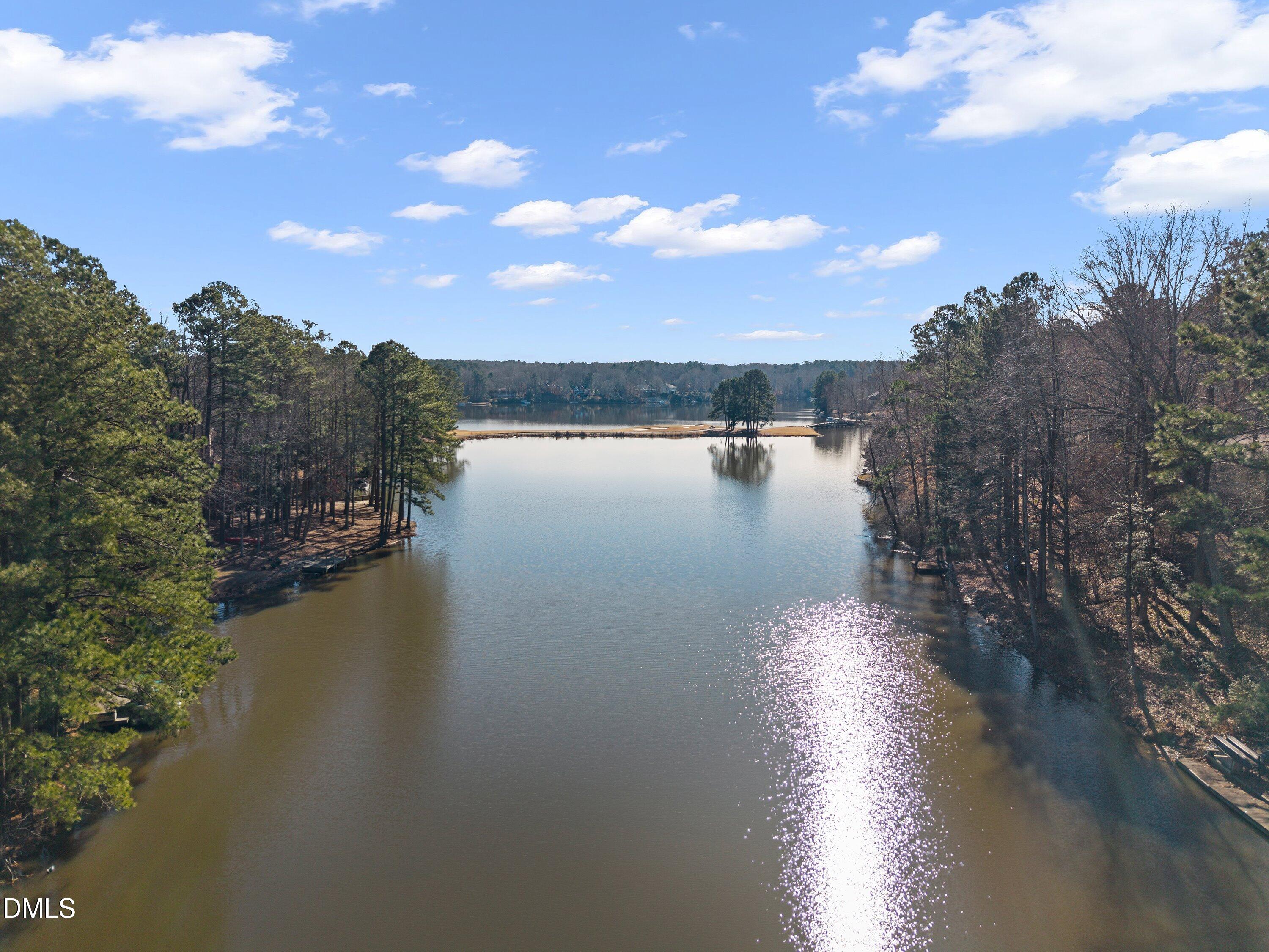 3113 Chipping Wedge Sanford, NC 27332 - Photo 28 of 42 a view of a lake from a yard