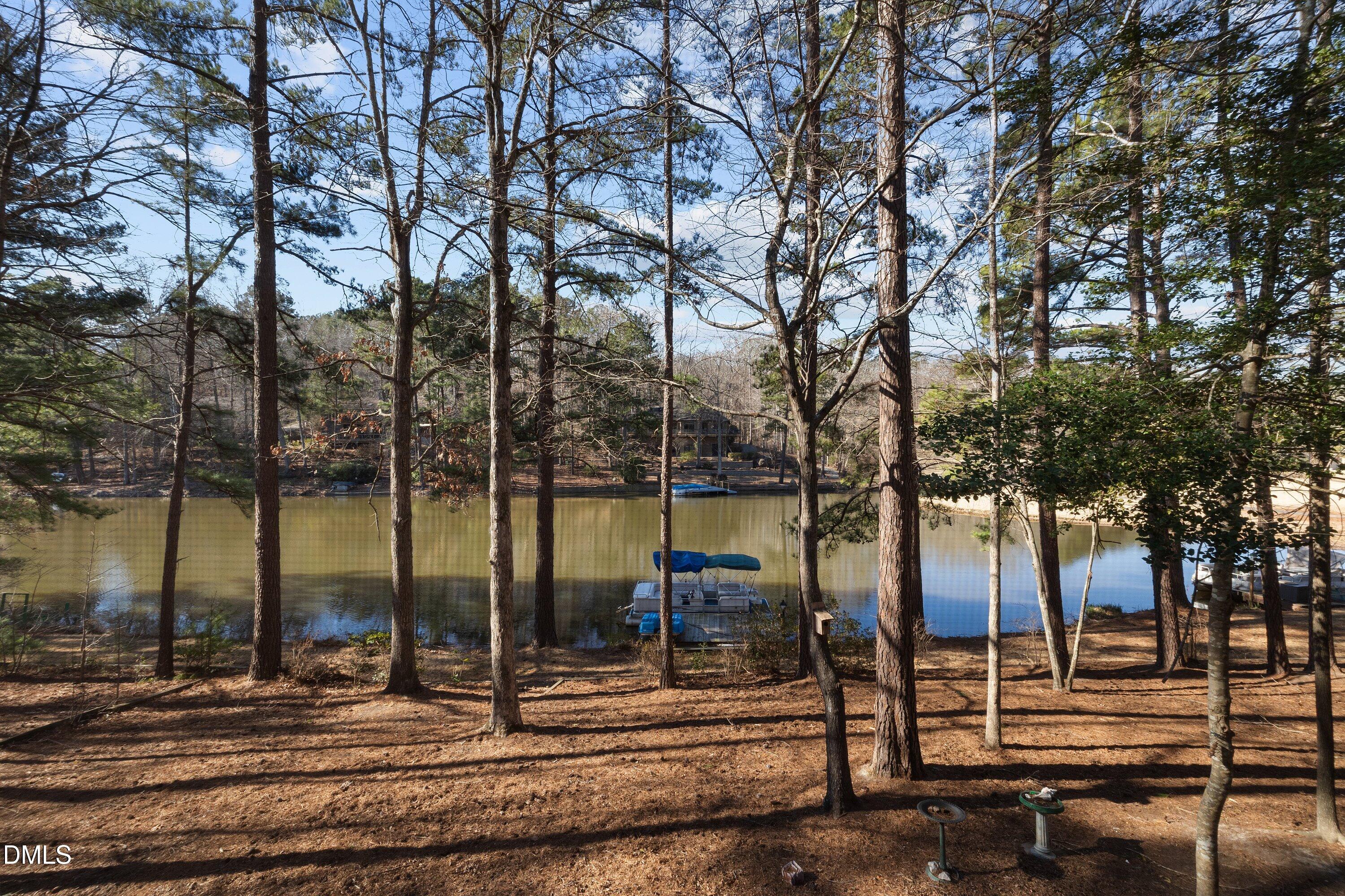 3113 Chipping Wedge Sanford, NC 27332 - Photo 5 of 42 a view of ocean view