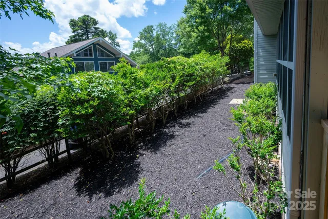 a view of a garden with large trees