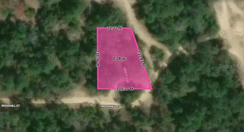 2702 Woodhill Street Inverness, FL 34452 - Photo 4 of 5