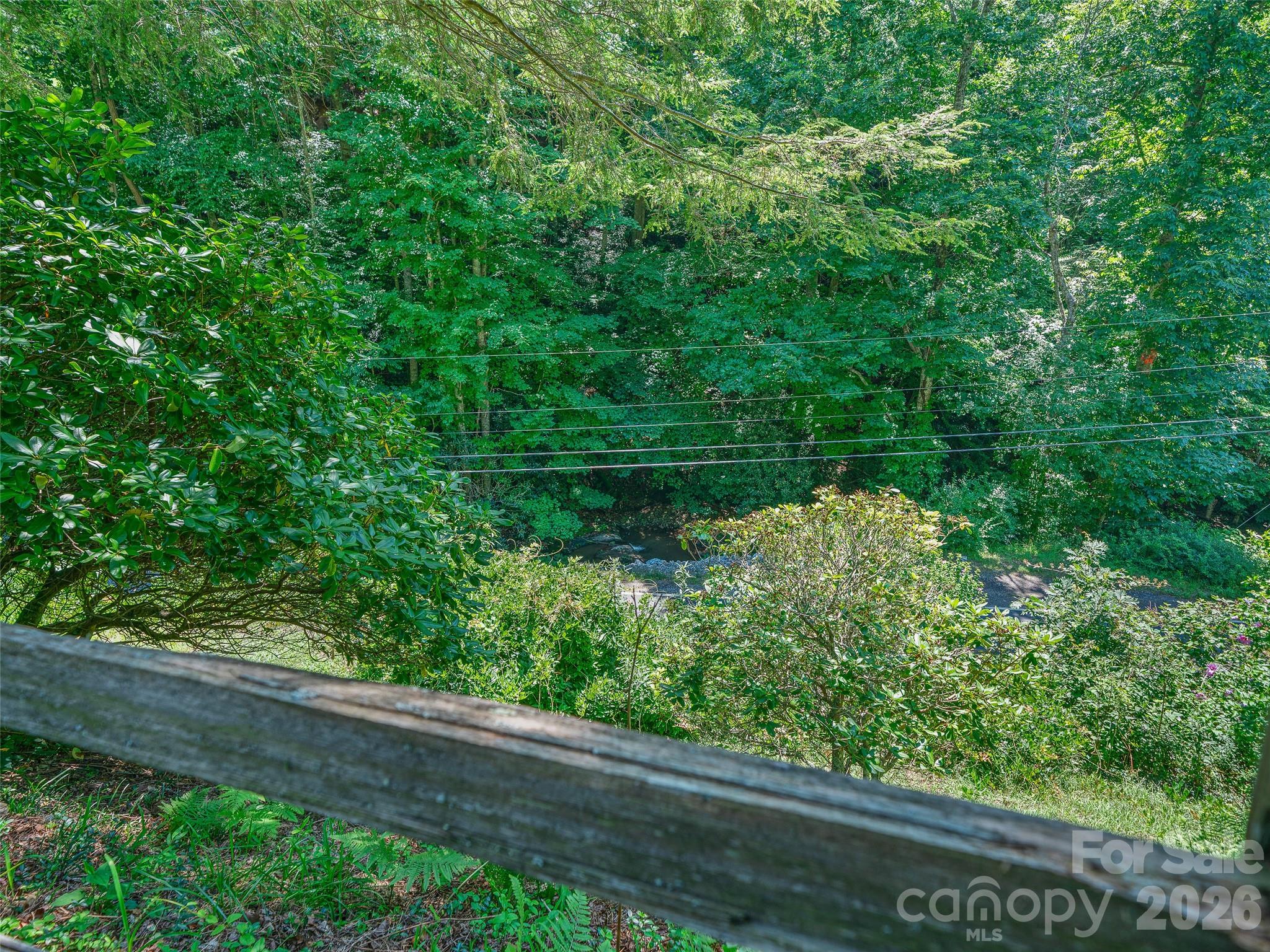 1065 Upper Pig Pen Road Green Mountain, NC 28740 - Photo 28 of 39