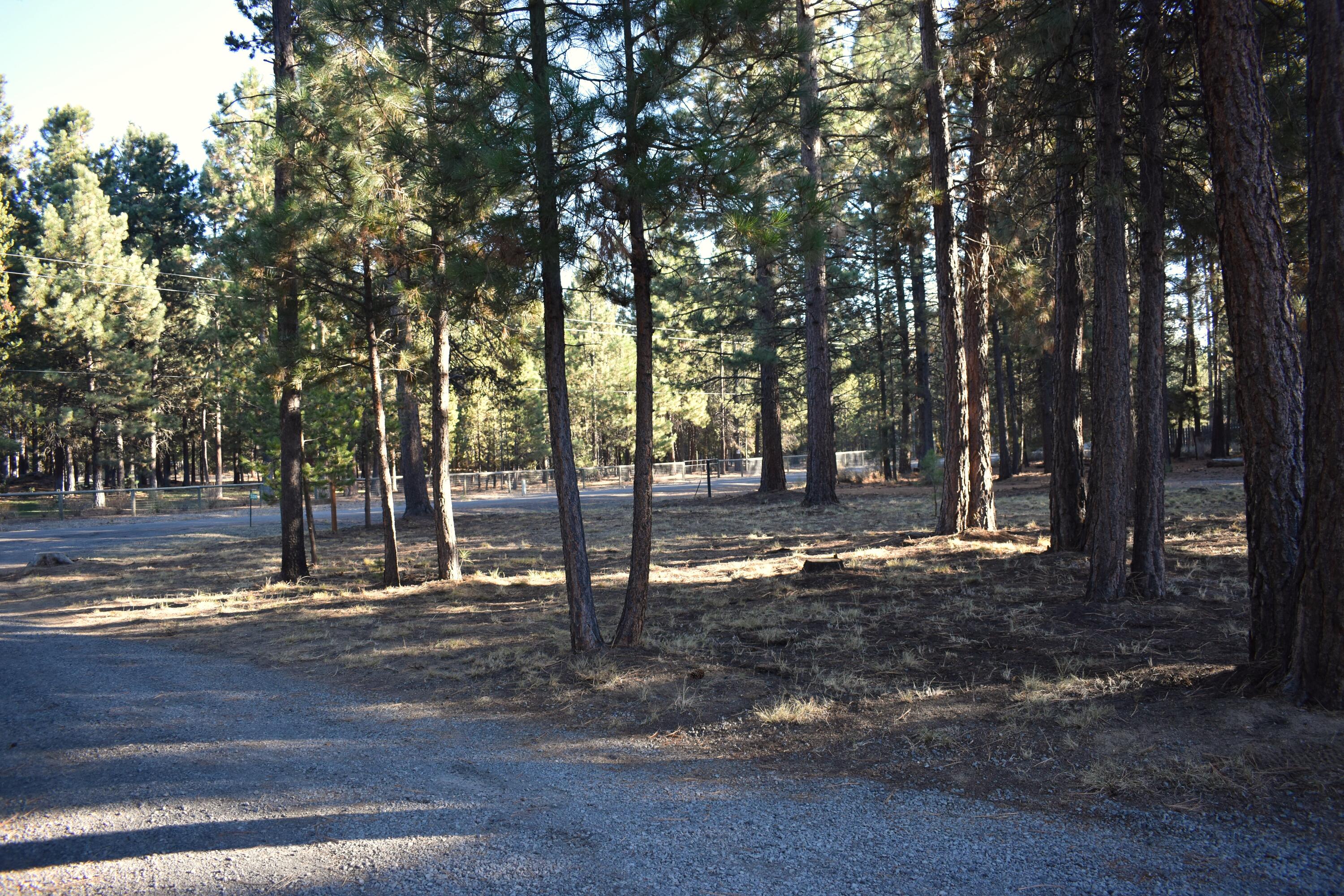 53249 Andrews Road La Pine, OR 97739 - Photo 44 of 49 Driveway in October 2023