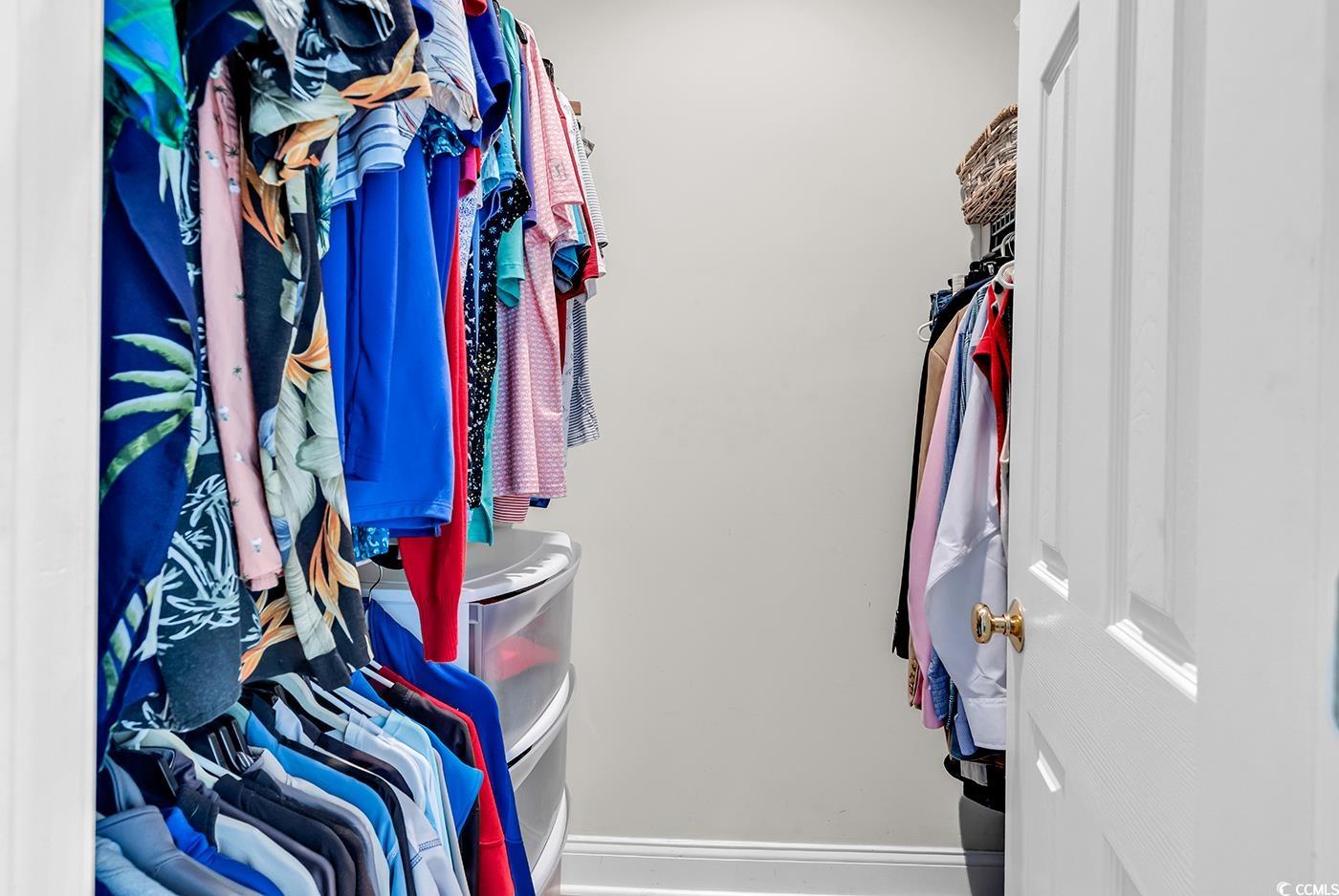 4507 Smilax Place Murrells Inlet, SC 29576 - Photo 19 of 39 View of spacious closet