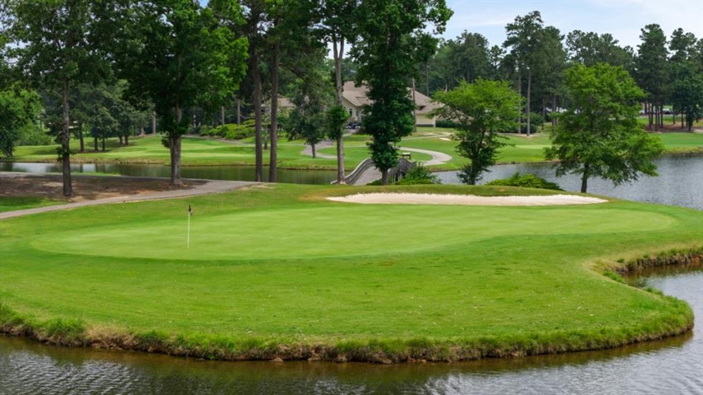 904 Sundown Point Villa Rica, GA 30180 - Photo 69 of 83 a view of a park with large trees