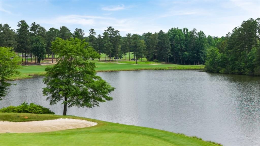 904 Sundown Point Villa Rica, GA 30180 - Photo 71 of 83