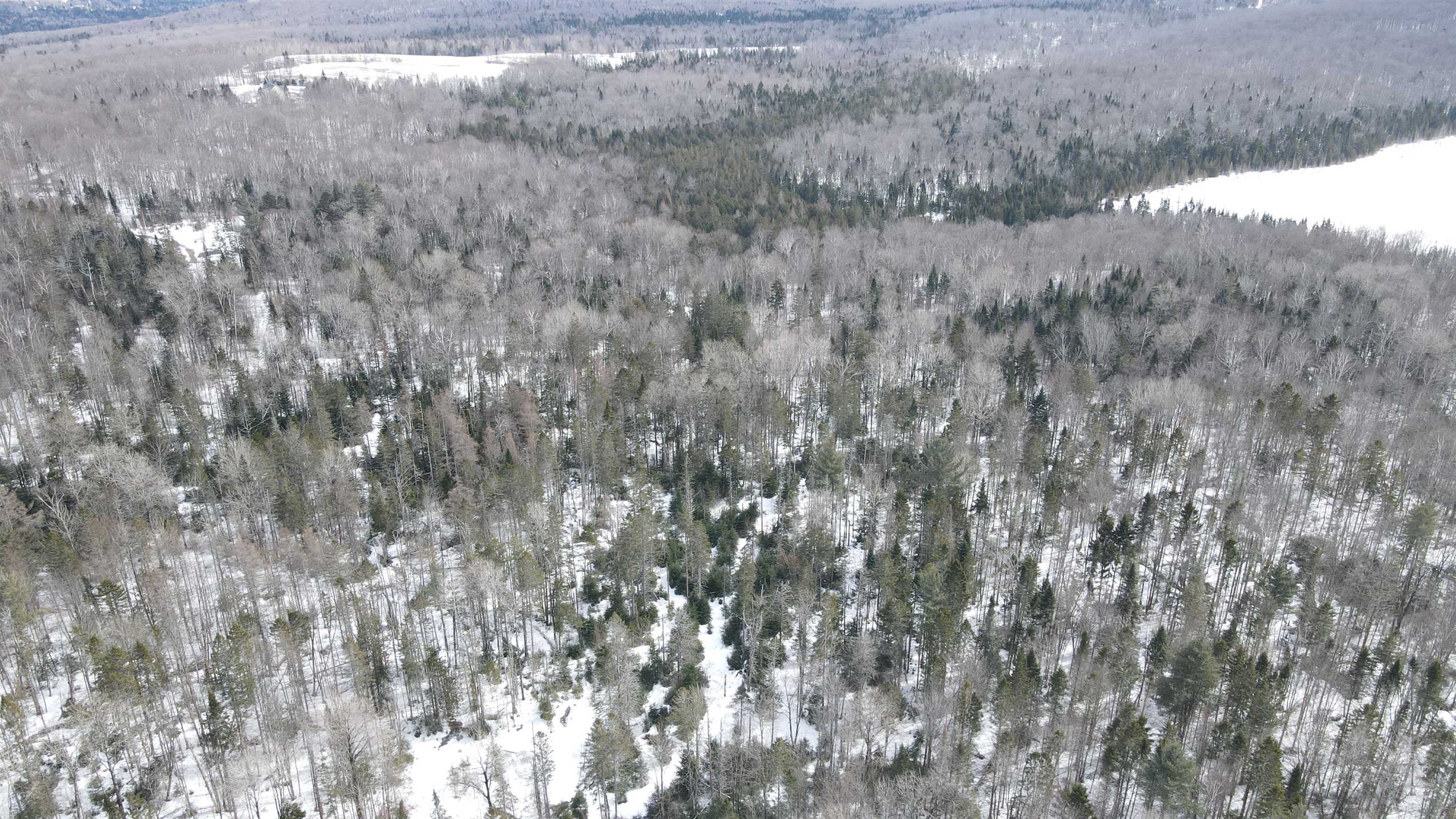 1606 Town Farm Road Sheffield, VT 05851 - Photo 19 of 55
