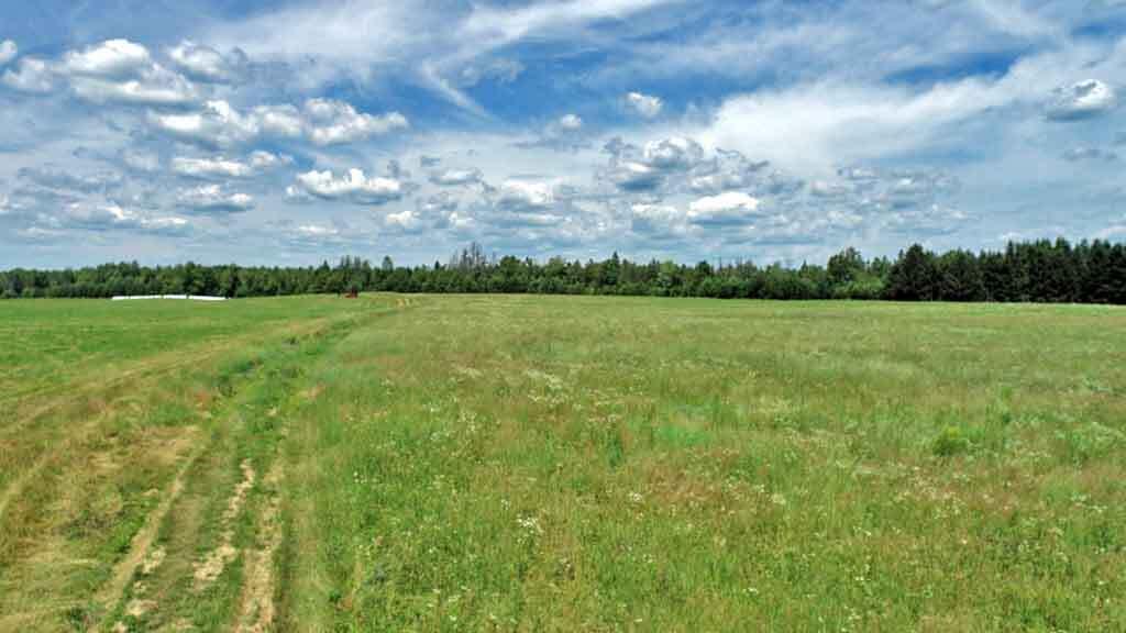 Lot 7 Drews Lake Road Houlton, ME 04730 - Photo 17 of 34 maine-farmstead-land-pastur