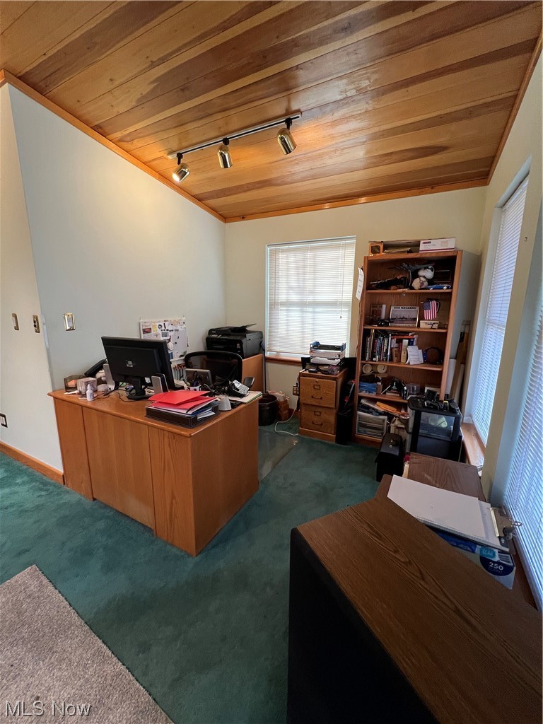 270 Rummer Road Marietta, OH 45750 - Photo 8 of 17 Home office featuring rail lighting, wooden ceiling, and dark carpet