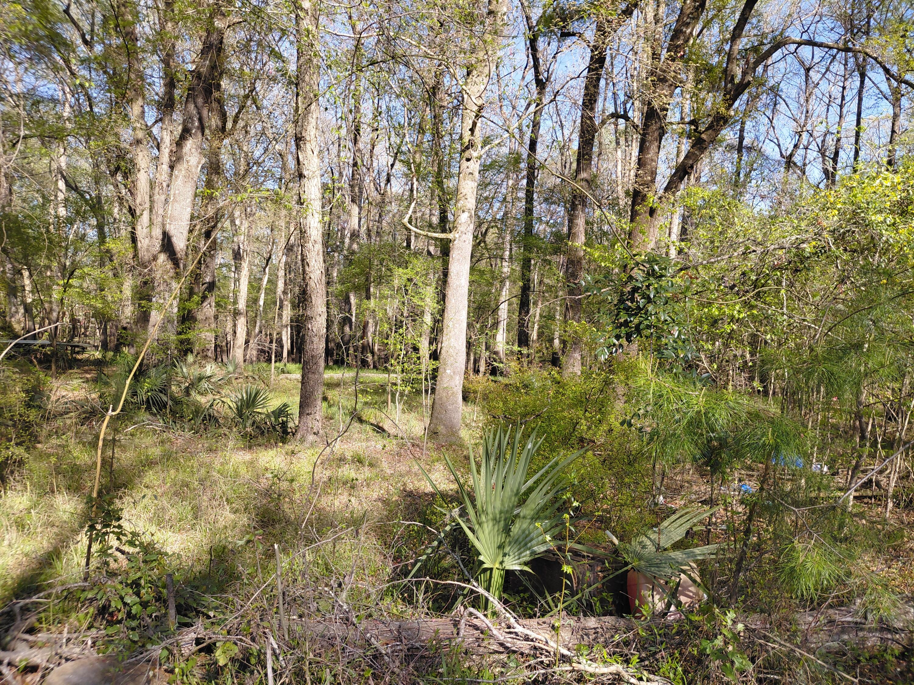 Lot 2-3 Gator Cove Ridgeville, SC 29472 - Photo 1 of 5 2558
