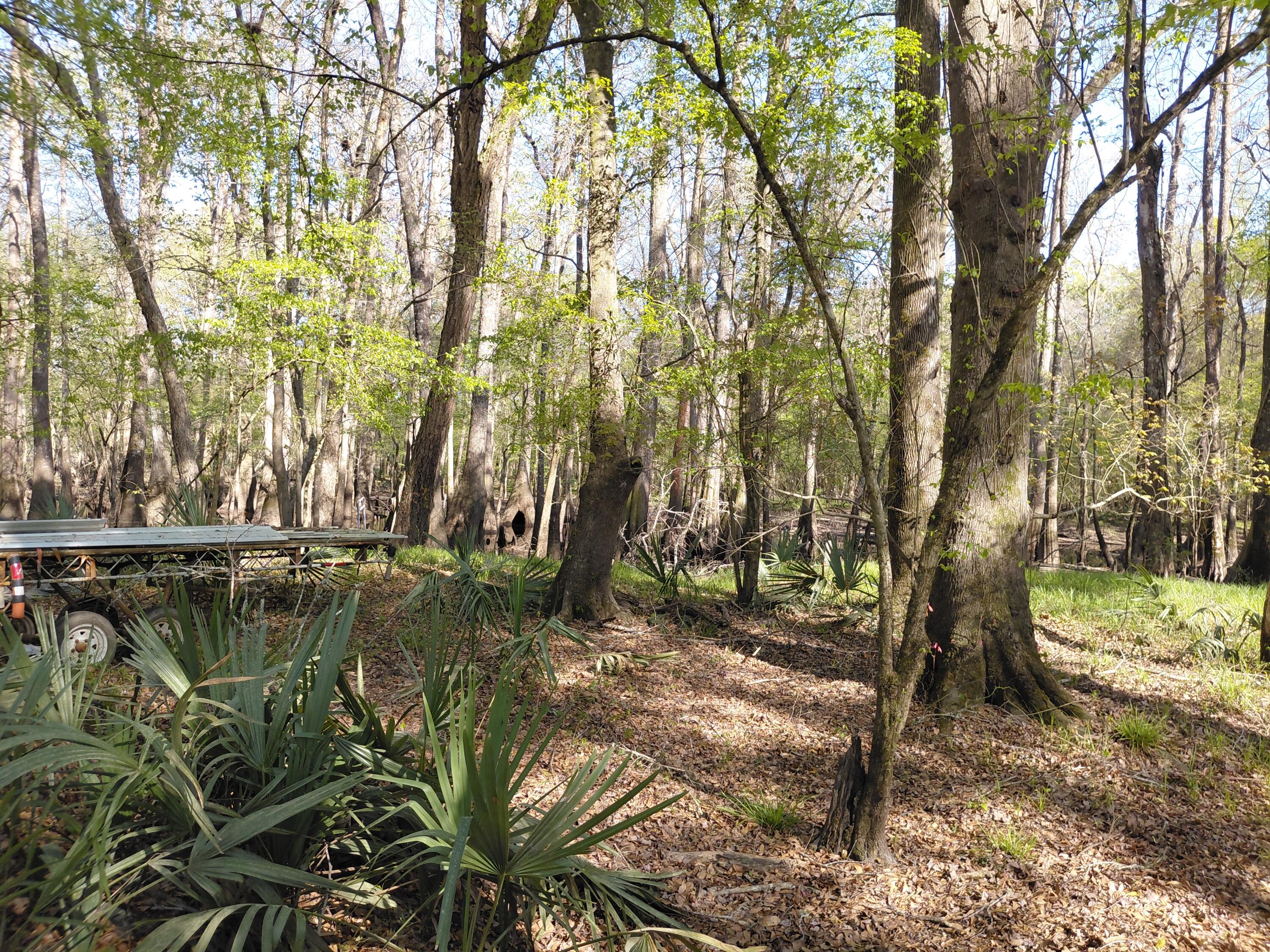 Lot 2-3 Gator Cove Ridgeville, SC 29472 - Photo 4 of 5 2562