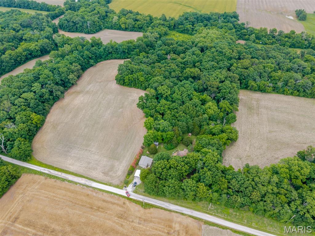 12042 Dutch Ashley, IL 62808 - Photo 38 of 45