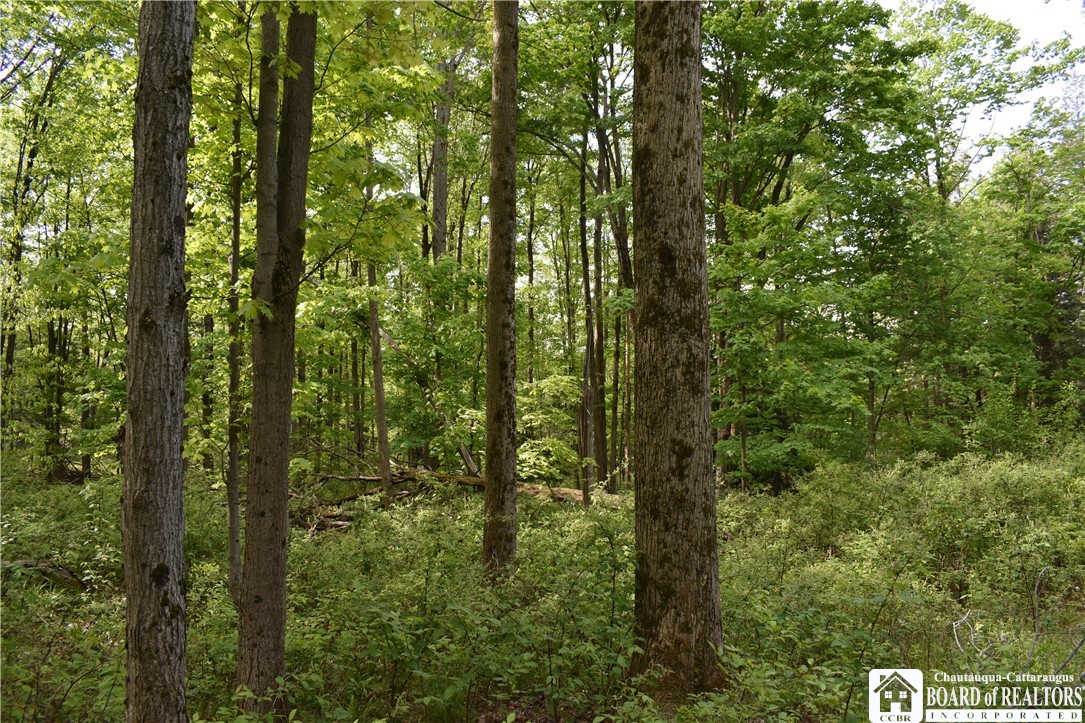 10133 Edward Corners Road Perrysburg, NY 14129 - Photo 17 of 28