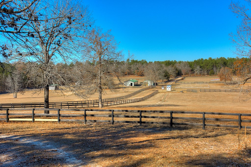 448 Long Cane Road Williston, SC 29853 - Photo 8 of 53