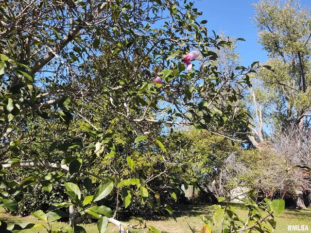 a view of backyard with outdoor seating