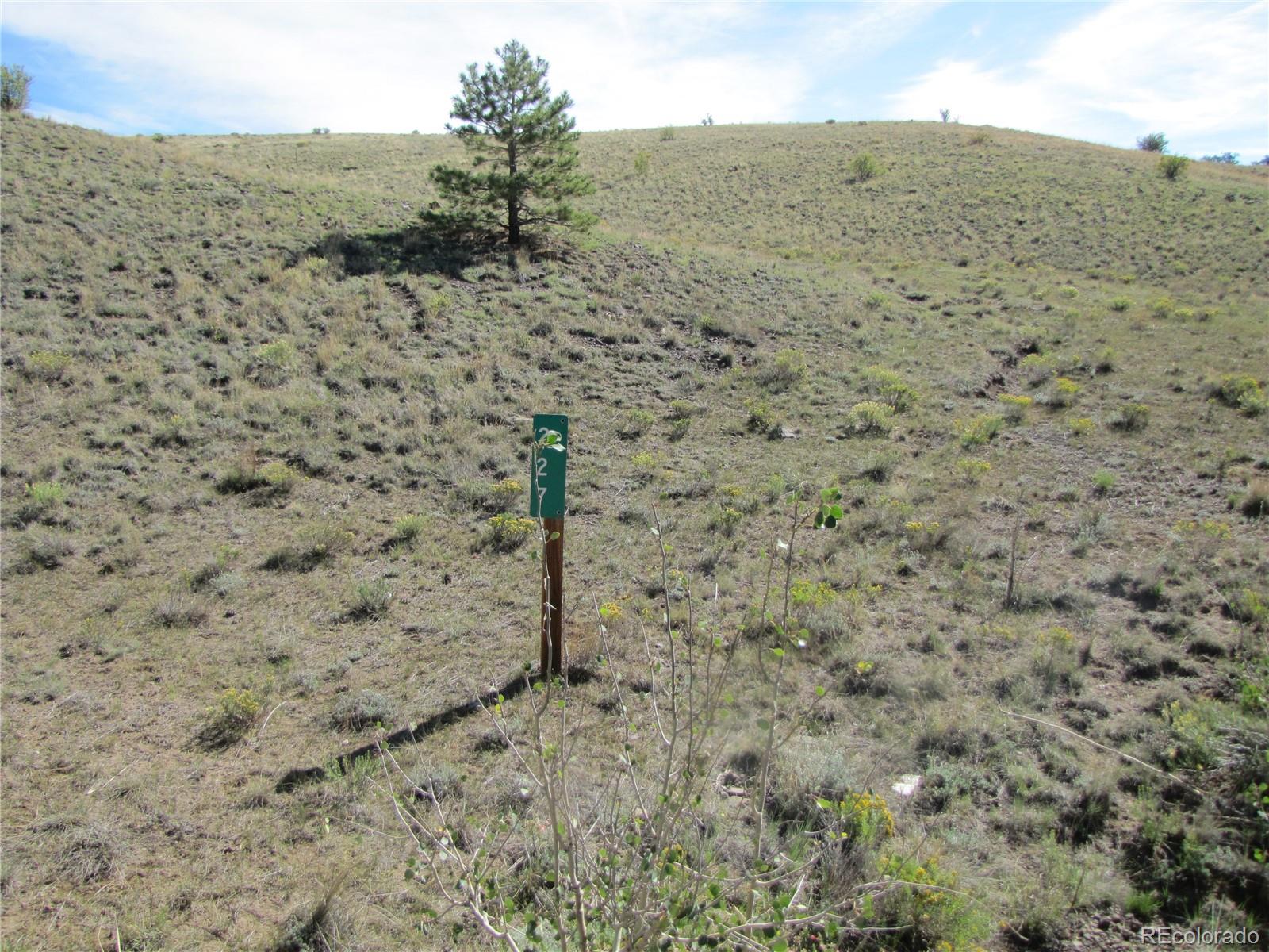 227 Keechi Road Hartsel, CO 80449 - Photo 7 of 13 Gallery Image 7