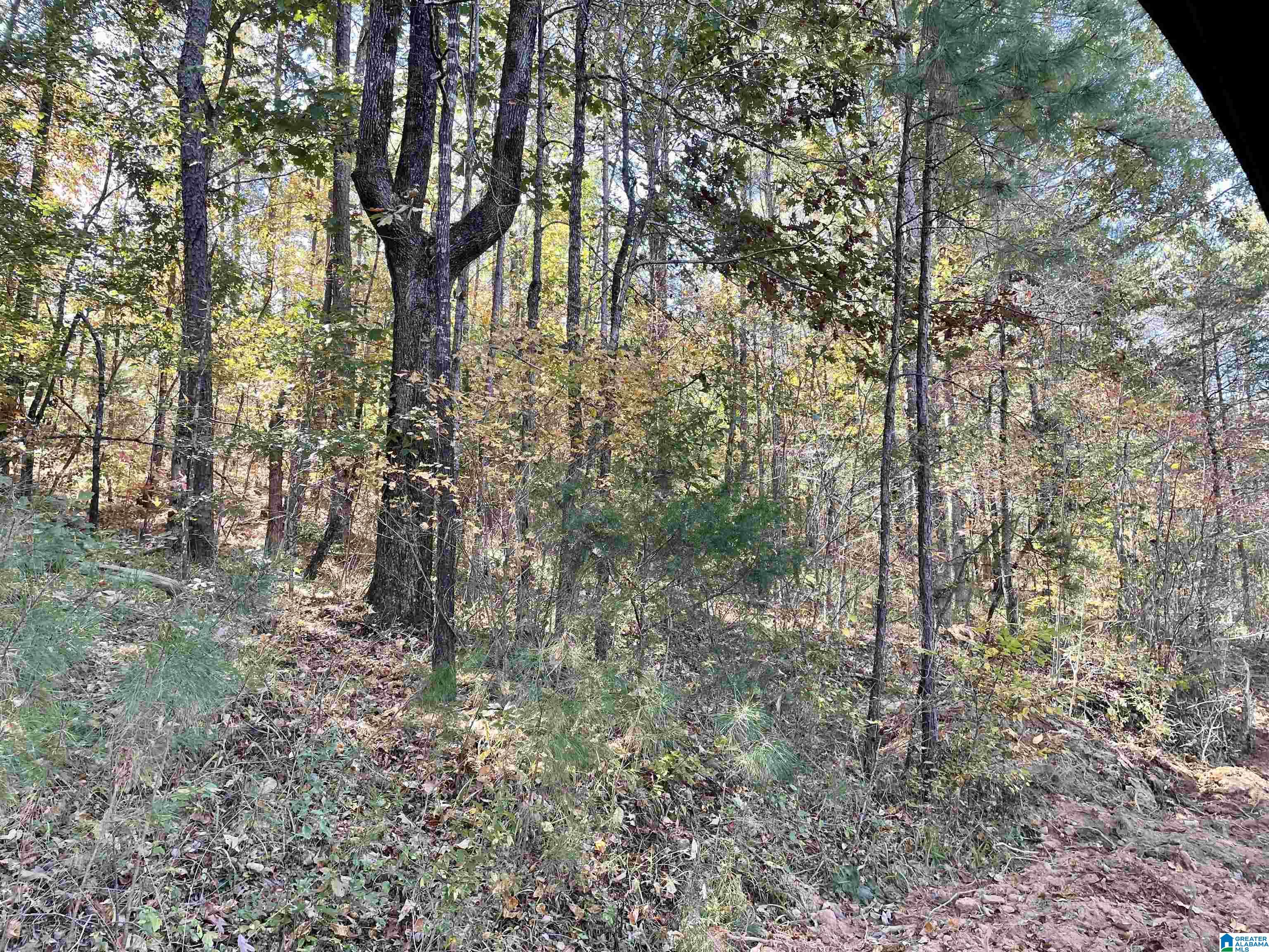 8760 Marsh Mountain Road, Unit 223 Pinson, AL 35126 - Photo 40 of 51