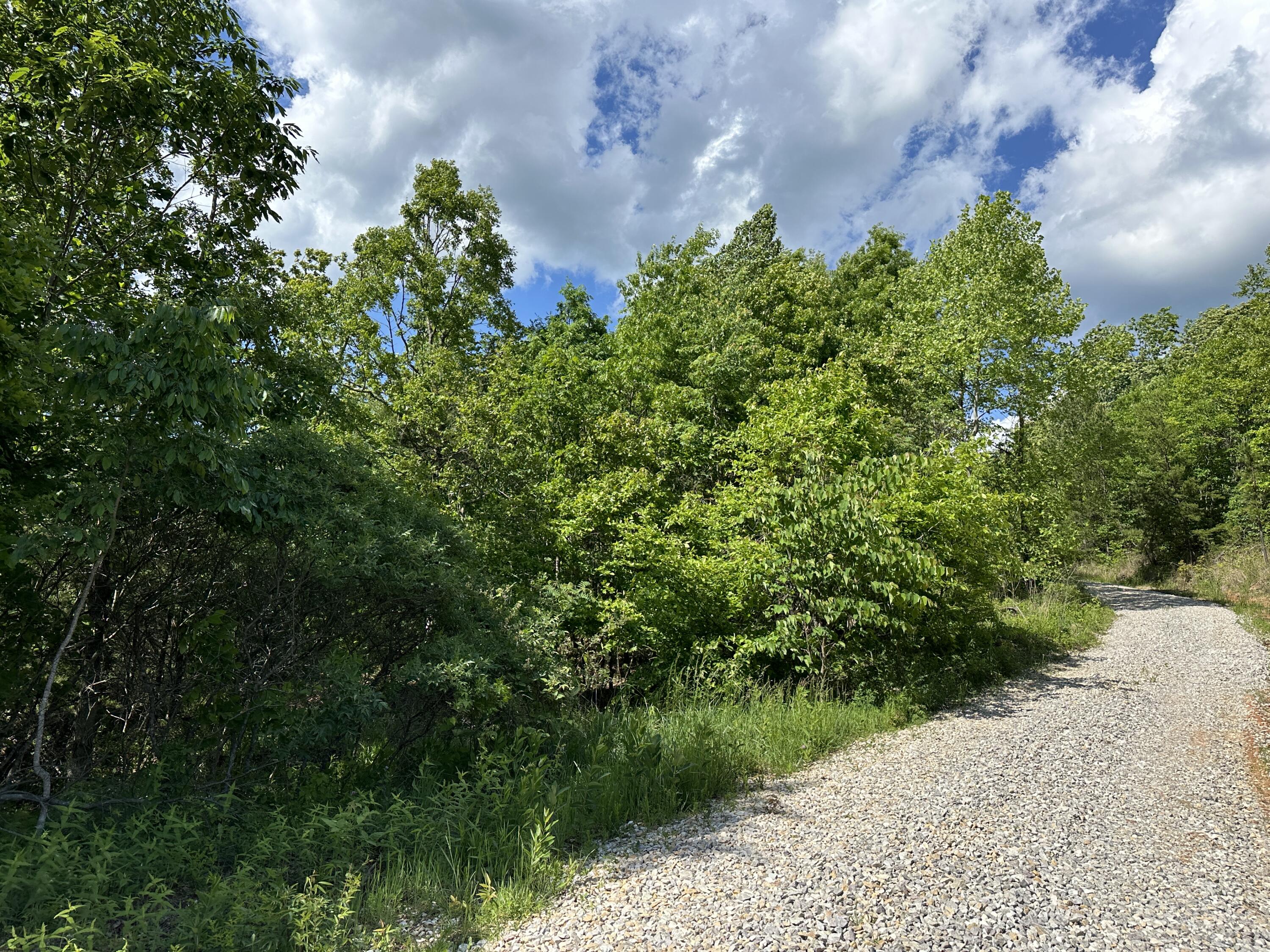 14 Williams Creek Road Denton, KY 41132 - Photo 8 of 29 7