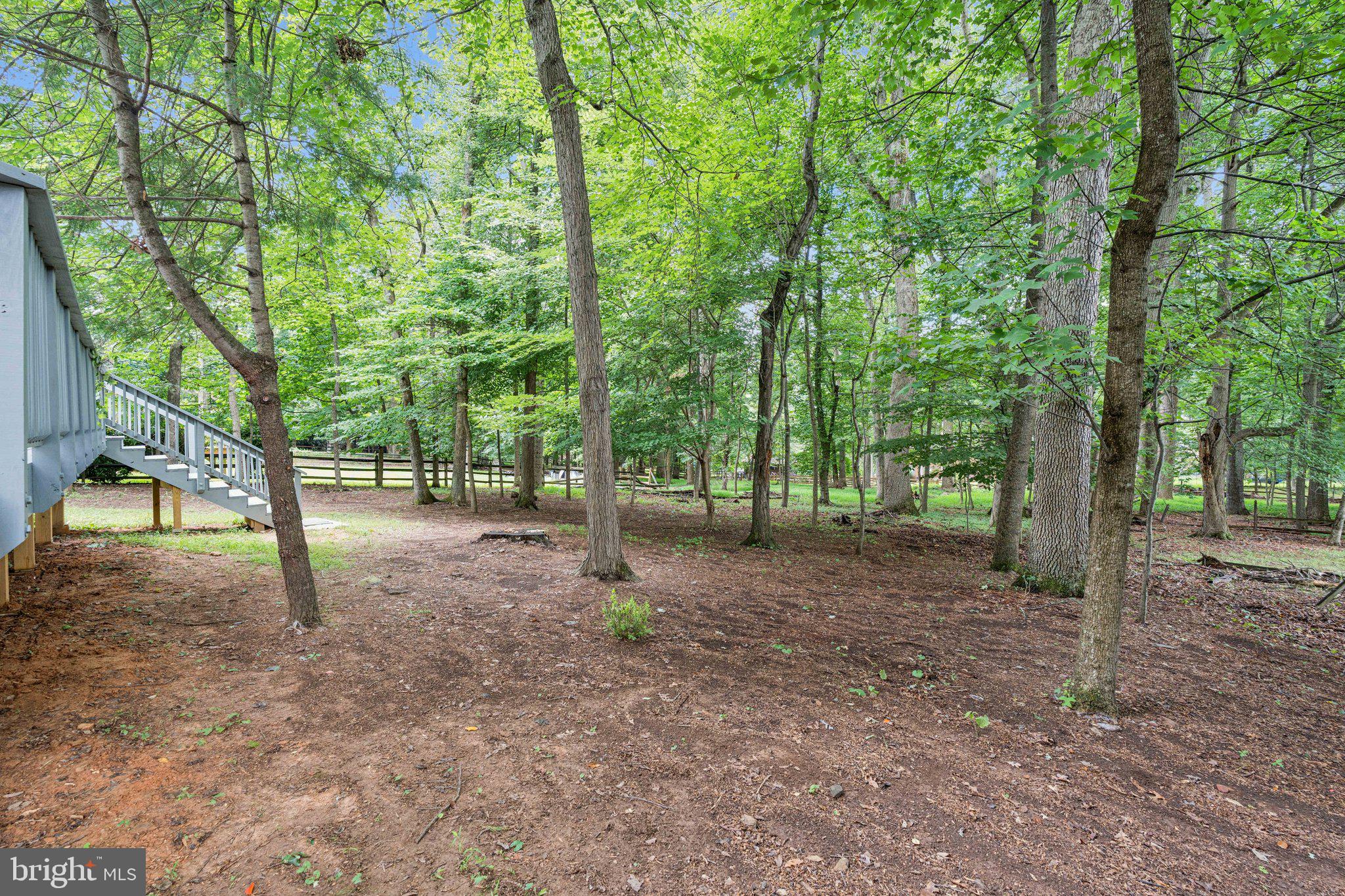 14912 Coles Chance Road North Potomac, MD 20878 - Photo 28 of 36 a view of a tree in the middle of a forest