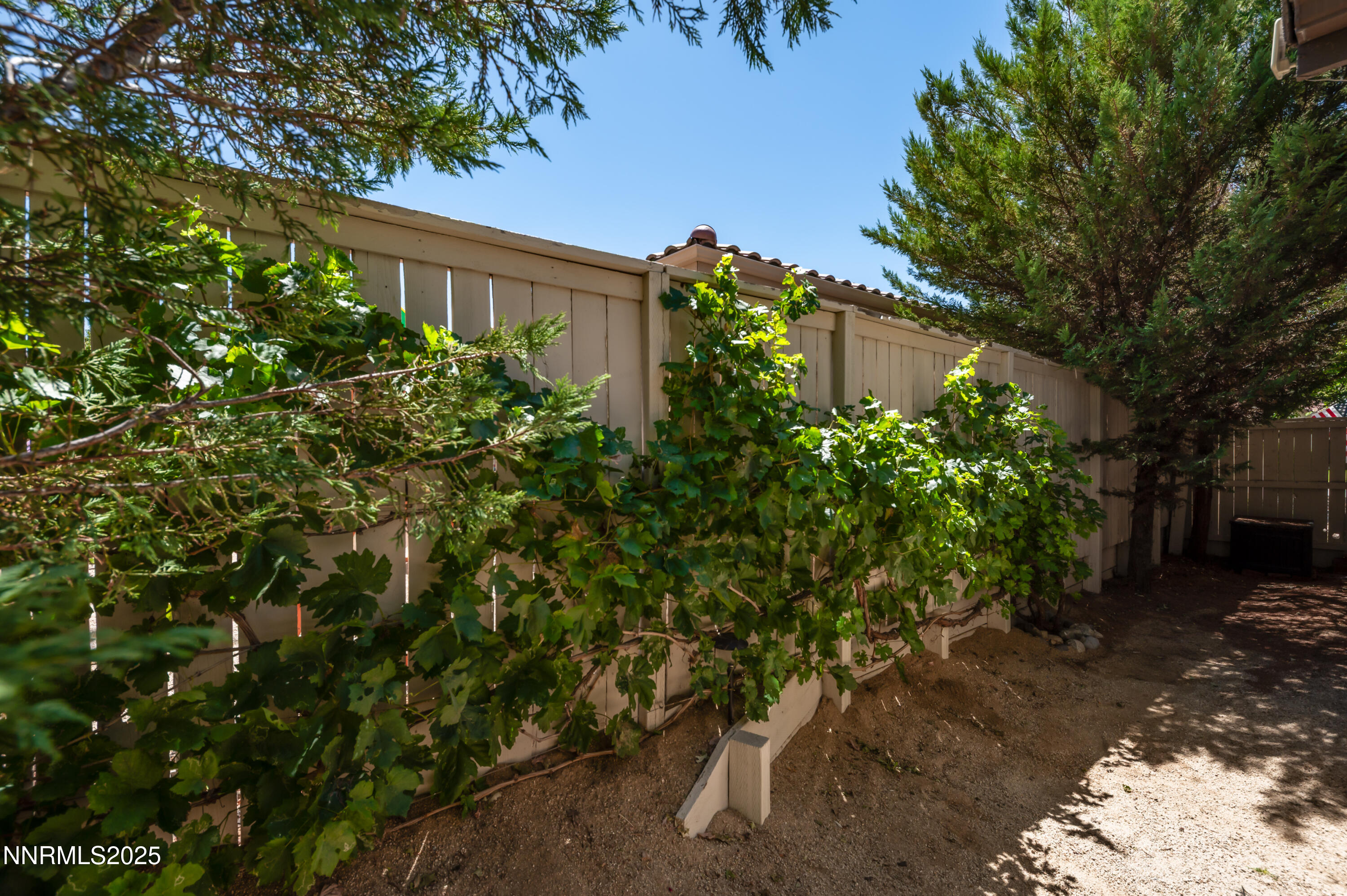 10742 Amber Falls Drive Reno, NV 89521 - Photo 26 of 28 a house is sitting in middle of forest