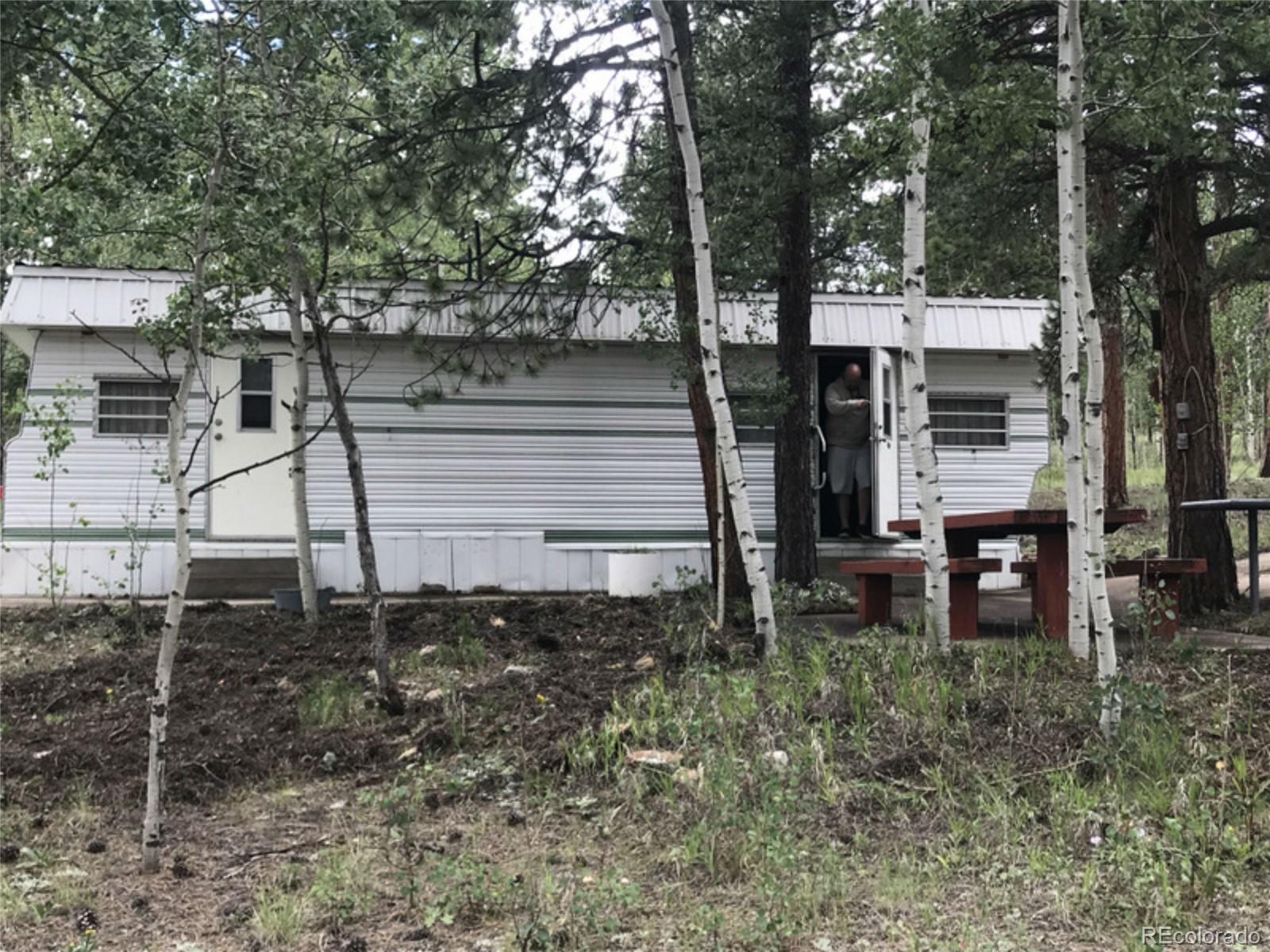 165 Baker Road Bailey, CO 80421 - Photo 18 of 20 a view of a house with backyard and a tree