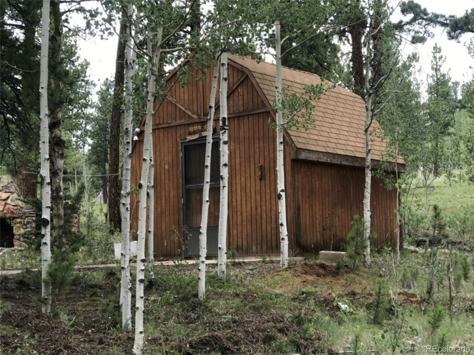 165 Baker Road Bailey, CO 80421 - Photo 19 of 20 a view of a house with backyard and trees