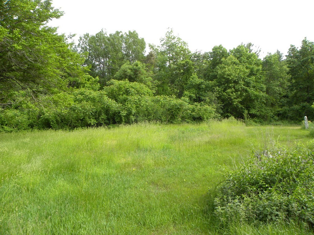 168 Gould Road Charlton, MA 01507 - Photo 9 of 20 Gallery Image 9
