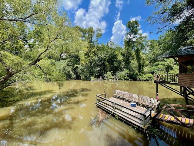 837 Linger Long Road Sylvania, GA 30467 - Photo 9 of 76 IMG_2021