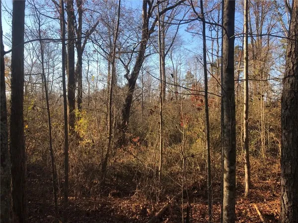 $249,900 | 0 Bremen Mount, Waco, GA 30182