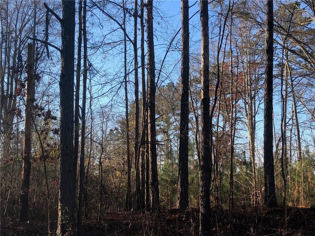 0 Bremen Mount Waco, GA 30182 - Photo 2 of 6