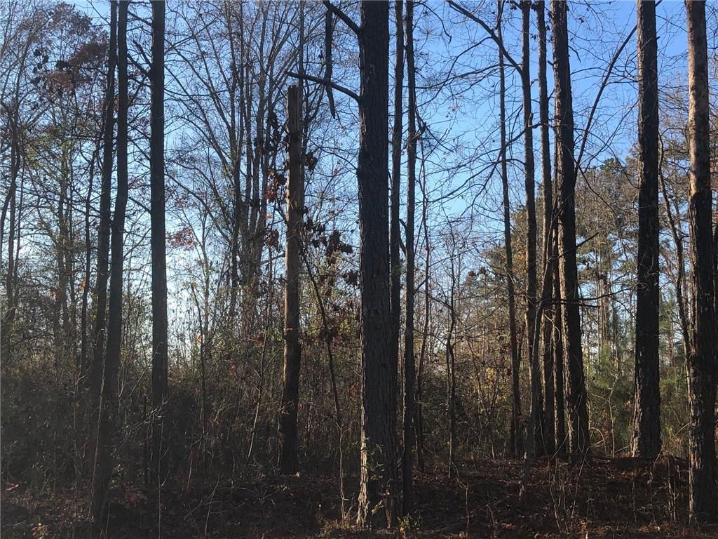 0 Bremen Mount Waco, GA 30182 - Photo 3 of 6