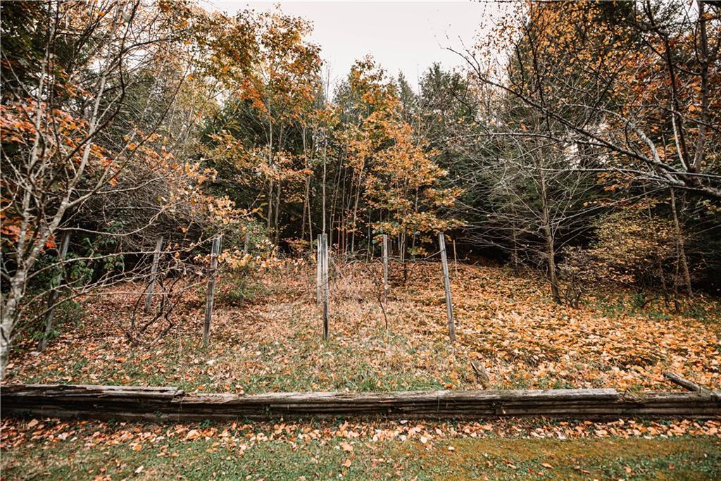 4632 Church Road Rossiter, PA 15772 - Photo 20 of 25 Grape vineyard