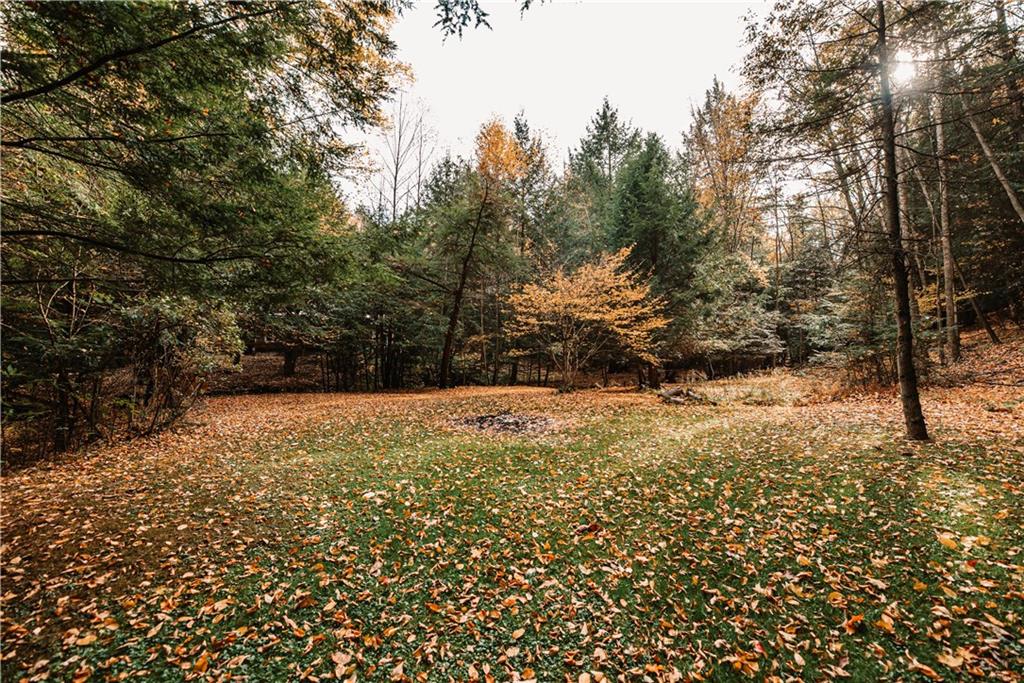 4632 Church Road Rossiter, PA 15772 - Photo 24 of 25 Large open back yard tucked between the trees