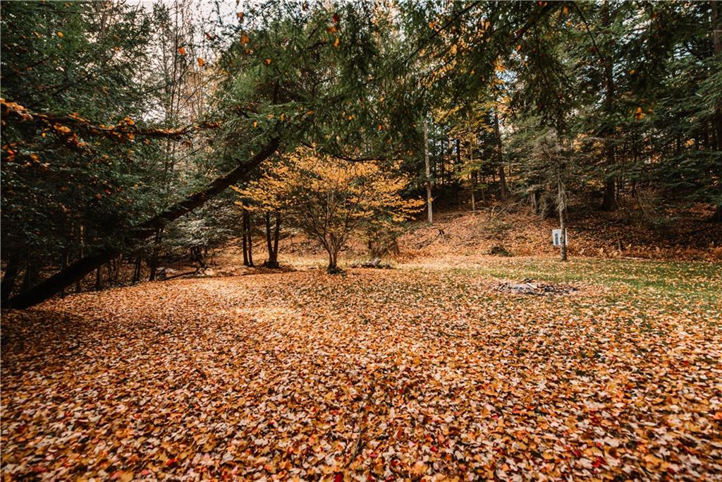 4632 Church Road Rossiter, PA 15772 - Photo 25 of 25 Large open back yard tucked between the trees.